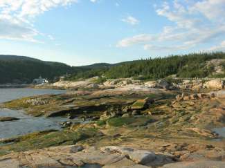 tadoussac 084.jpg